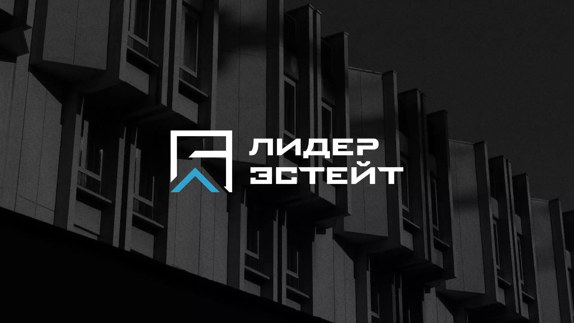 Разработка логотипа агентства недвижимости «Лидер Эстейт» в Каменногорске